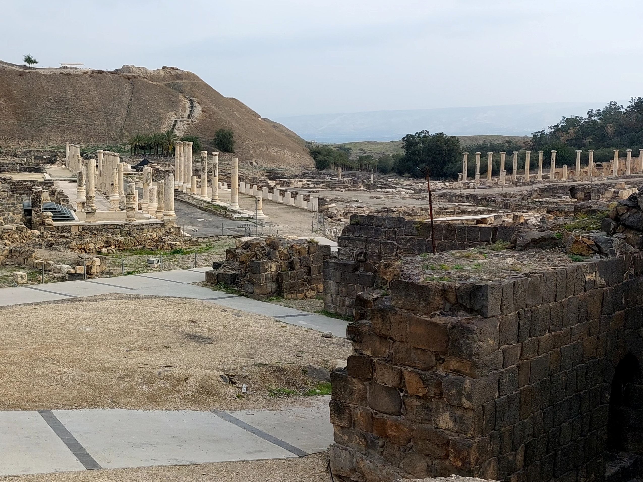 Wide view of the Roman city ruins at Beth-Shan showing colonnaded streets stretching into the distance with the ancient tel mound rising in the background