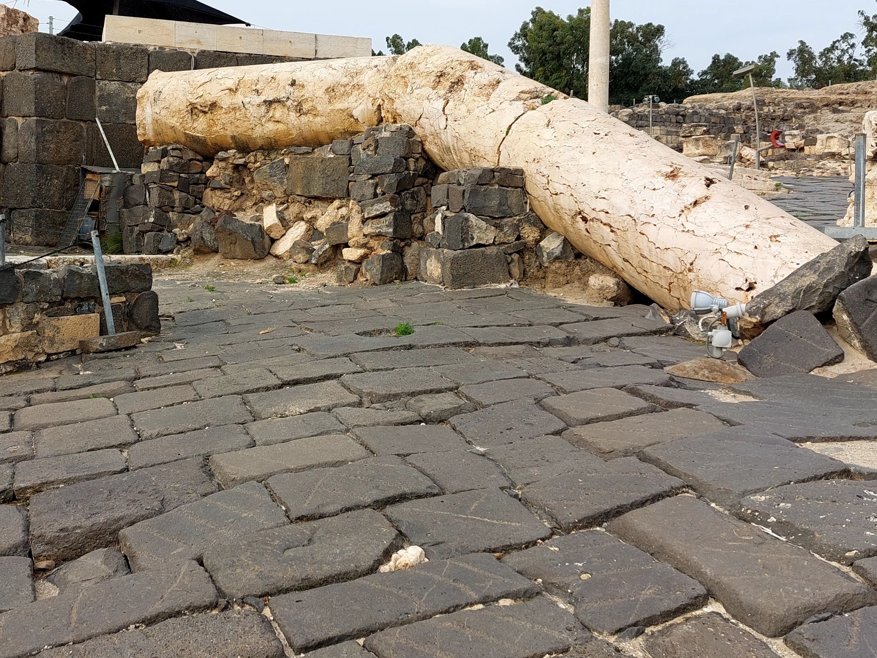 A massive Roman column toppled and lying across the ancient basalt paving stones at Beth-Shan, evidence of the catastrophic 749 A.D. earthquake that destroyed the city
