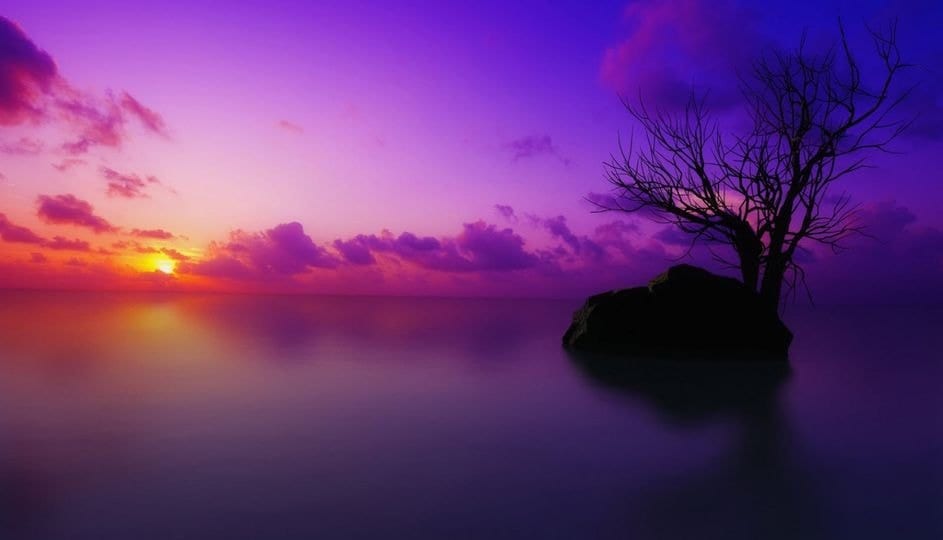 Holy Land landscape