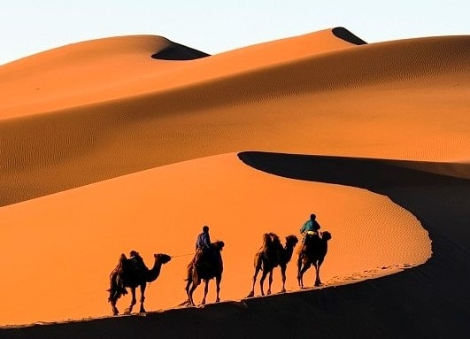 Silhouetted figures riding camels across golden sand dunes in the desert