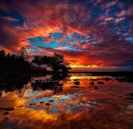Dramatic fiery sunset reflected in still water with silhouetted trees